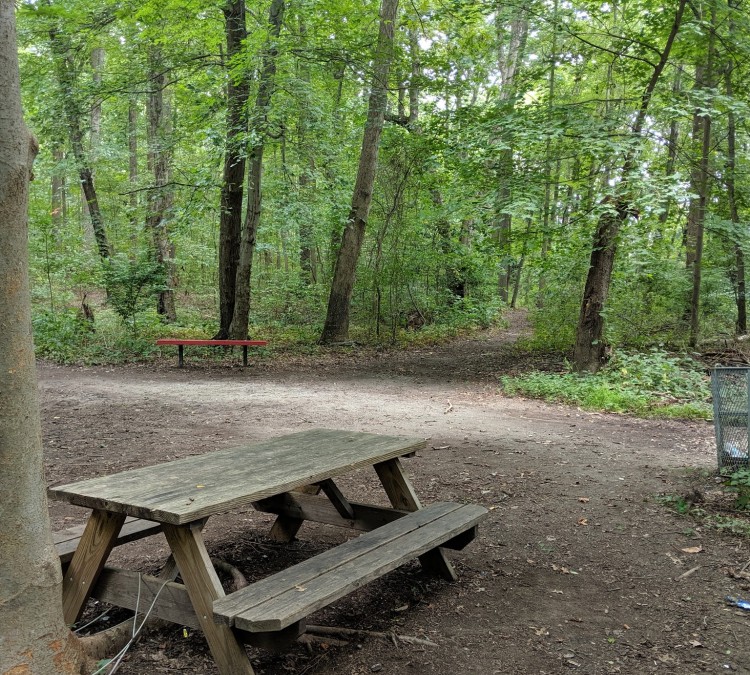 Nature Trail Park (Somerdale,&nbspNJ)